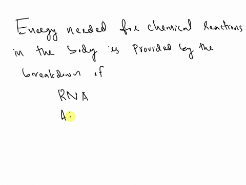 energy-needed-for-chemical-reactions-in-the-body-is-provided-by-the-breakdown-of-rna-atp-adp-or-dna-70535