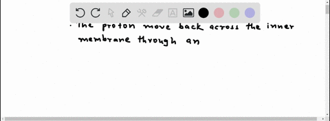 according-to-the-chemiosmotic-theory-how-does-the-proton-gradient-provide-energy-to-synthesize-atp-27632