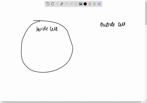 6-using-the-diagram-below-draw-arrows-to-indicate-which-direction-the-water-and-solutes-traveled-either-into-the-cell-or-out-of-the-cell-figure-2-diagram-indicating-the-movement-of-water-and-55832