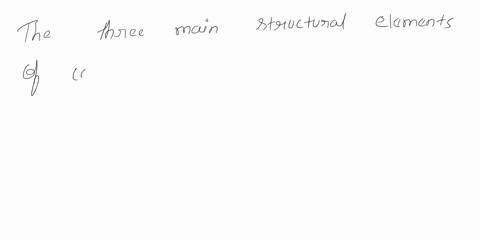 name-and-briefly-describe-the-three-main-structural-elements-of-connective-tissue-64907