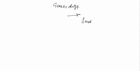 which-population-would-be-the-most-susceptible-to-genetic-drift-75635