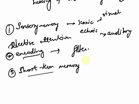 please-help-asap-1-construct-an-essay-describing-how-the-information-processing-three-stage-memory-model-explains-how-you-are-able-to-hear-a-lecture-in-classprocess-the-informationand-retain-27395