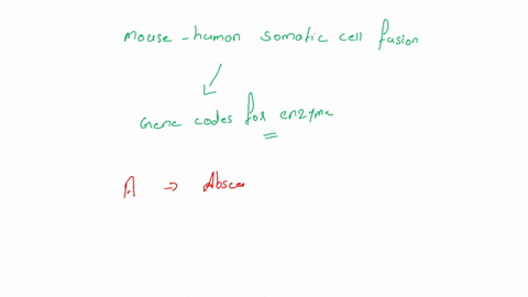 a-panel-of-cell-lines-was-created-from-mouse-human-somatic-cell-fusions-each-line-was-examined-for-the-presence-of-human-chromosomes-and-to-produce-an-enzyme-based-on-these-results-which-chr-36507