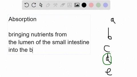 absorption-in-the-small-intestine-is-increased-by-a-the-many-villi-present-on-the-inner-surface-of-2-62818