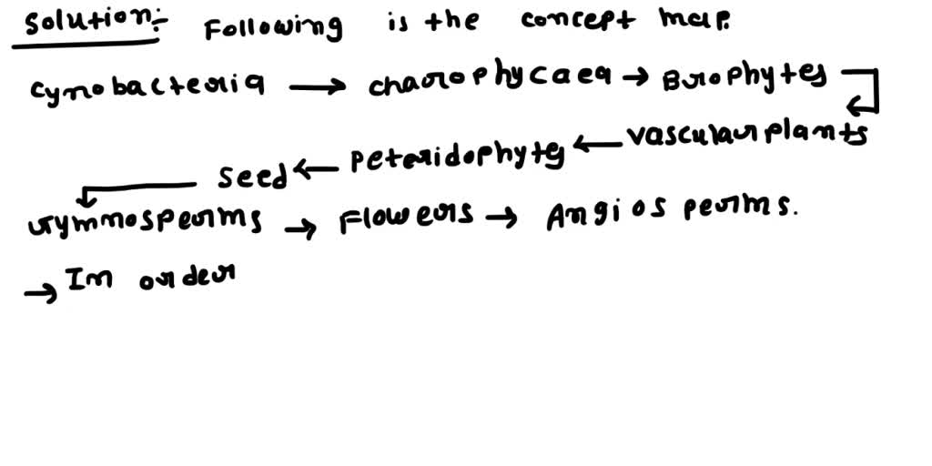 SOLVED: Make a concept map connecting the following terms: plant ...