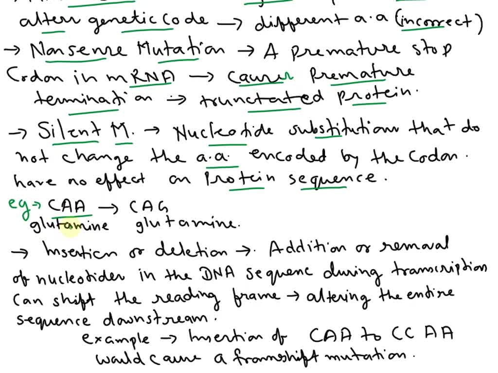SOLVED Assess the possibility of errors occurring during the stages of