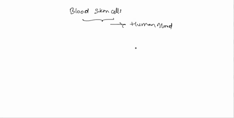 blood-stem-cells-may-develop-into-any-kind-of-human-blood-cells-what-kind-of-stem-cells-are-blood-stem-cells-a-multipotent-stem-cells-o-b-totipotent-stem-cells-o-c-pluripotent-stem-cells-o-d-45117