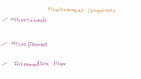 contrast-the-structure-and-functions-of-the-cytoskeleton-with-the-structure-and-functions-of-the-membranous-components-of-the-cell-73944
