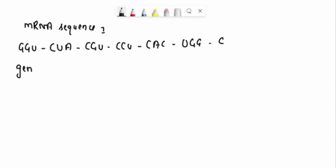 question-15-3-points-deduce-the-amino-acid-sequence-provided-by-the-following-dna-sequence-5-ccagatgcaggagtgaccg3-sxondletter-pnetolalarine-uav-tytosne-cyitere-cps-strne-ser-e_dir-lev-trptow-59597