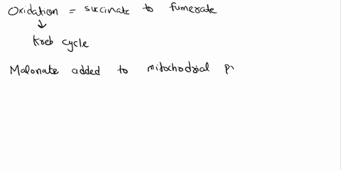 extra-credit-2pts-malonate-is-a-competitive-inhibitor-of-succinate-dehydrogenase-if-malonate-is-added-to-a-mitochondrial-preparation-that-is-oxidizing-pyruvate-as-a-substrate-what-metabolite-04974