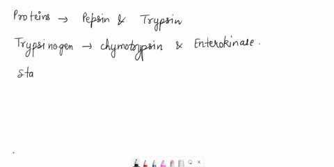 classify-each-enzyme-based-on-the-substrate-it-decomposes-pancreatic-lipase-trypsin-lactase-chymotrypsin-salivary-amyiase-pepsin-nucleases-maltase-enterokinase-pancreatic-amylase-proteins-tr-38798