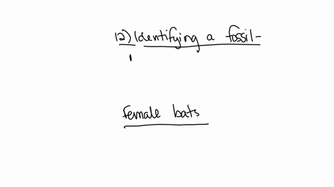 question-12-1-point-you-are-a-budding-paleontologist-and-have-found-fossil-that-is-either-a-mammal-of-reptile-what-would-you-do-in-order-to-figure-out-which-you-are-looking-at-look-for-evide-97756