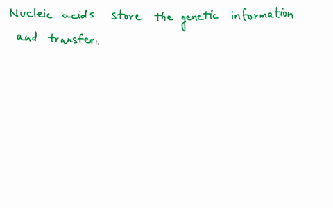 identify-the-true-statements-regarding-the-biological-functions-of-nucleic-acids-storage-of-genetic-information-b-transmission-of-genetic-information-protein-synthesis-dall-of-the-above_-07413