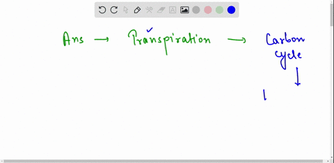 which-of-these-is-not-a-way-that-carbon-cycles-through-the-biosphere-a-photosynthesis-b-transpiration-c-combustion-of-fossil-fuels-d-decomposition-65047