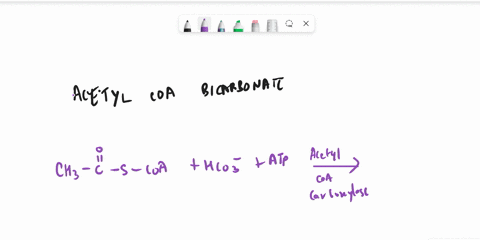 biochemistry-q-what-is-the-product-of-the-acetyl-coa-carboxylase-reaction-please-also-note-the-substrates-that-are-required-to-make-this-product-please-answer-directly-in-typing-not-in-handw-00642