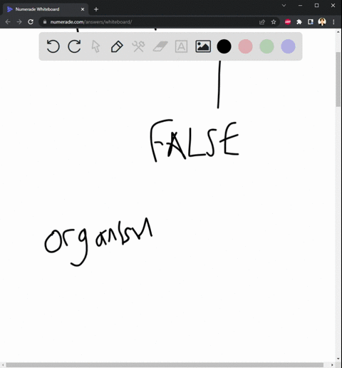 segmentation-is-the-process-of-dividing-a-population-into-distinct-segments-independent-on-select-characteristics-a-true-b-false-59948