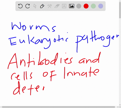 worms-and-eukaryotic-pathogens-are-mainly-controlled-by-1-type-1-interferons2-cytokines-enzymes-from-tht-helper-cells3-antibodies-and-cells-of-the-innate-defences-adcc4-cytotoxic-t-cells-ctl-34499
