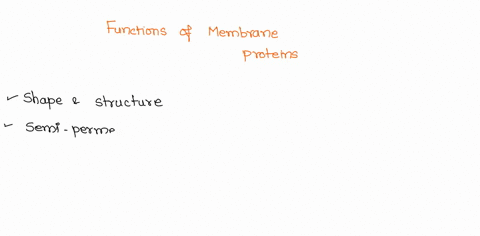 what-are-the-six-major-functions-of-membrane-proteins-47833
