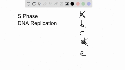 what-2-structures-does-each-duplicate-chromosome-contain-during-s-phase-to-2-rna-molecules-b-2-different-chromatids-one-from-the-father-and-one-from-the-mother-c-2-copies-of-the-complete-dna-74085