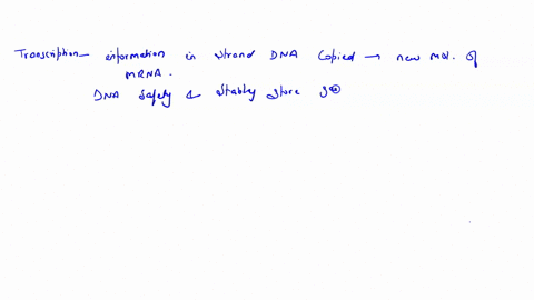 which-of-the-following-processes-occurs-in-the-nucleus-and-forms-a-complementary-copy-of-one-strand-76765