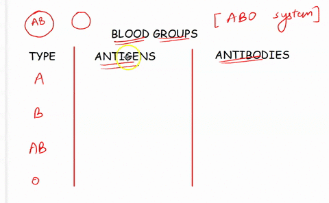 1-complete-the-table-identifying-antigens-and-antibodies-by-blood-type-blood-type-antigens-present-on-cell-surface-antibodies-present-in-plasma-type-a-type-b-type-o-type-ab-type-ab-04465
