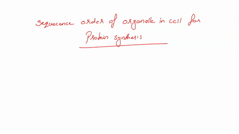 question-2-1-point-which-of-the-following-sequences-correctly-lists-the-order-of-organelles-encountered-from-the-synthesis-of-a-protein-to-its-incorporation-into-the-plasma-membrane-of-a-cel-01133