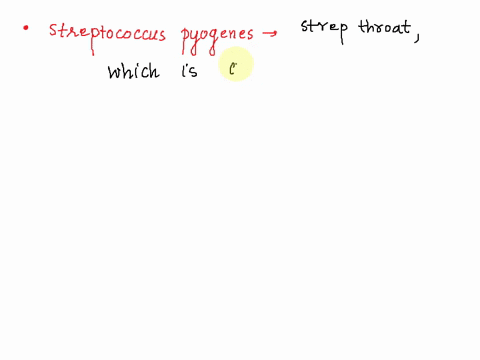 suv-answet-question-4-point-true-or-false-streptococcus-pyogenes-in-the-pharynx-throat-indicates-an-infection-is-present-true-false-37072