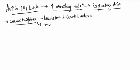 briefly-explain-how-an-increase-in-carbon-dioxide-levels-in-the-blood-will-change-breathing-rate-83023