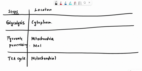 for-each-of-first-three-major-events-of-cellular-respiration-glycolysis-pyruvate-processing-citric-acid-cycle-where-does-each-occur-what-are-the-products-where-is-the-energy-going-into-each-76416