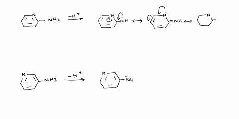 predict-which-of-the-following-compounds-is-more-acidic-and-expain-your-choice-draw-all-regonance-structures-nhz-nhz-51855