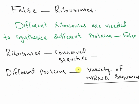 which-of-the-following-statements-about-ribosomes-is-false-please-explain-why-the-other-options-are-true-different-ribosomes-are-needed-to-synthesize-different-proteins-ribosomal-rnas-are-pr-21641