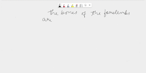 esearch-on-c-vertedmn-oreltnh-oiwd-species-examine-che-bones-of-the-forelimbs-pictured-for-each-organism-name-the-bones-that-resemble-_-common-ancestor-and-the-bones-that-ditter-uina-carpals-32735