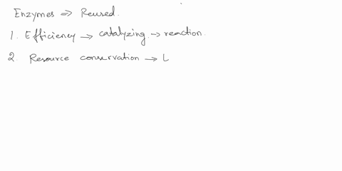 why-is-it-important-that-enzymes-be-reusable-68347
