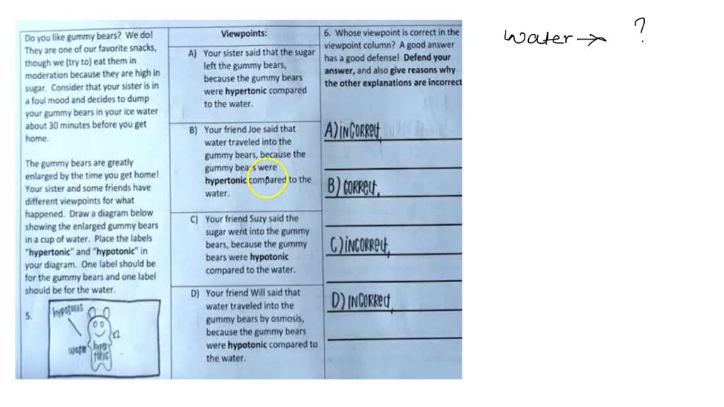SOLVED The Gummy Bear Mystery Do you like gummy bears? We do. They are