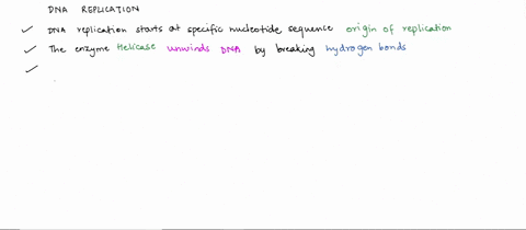 initiation-dna-replication-starts-at-specific-nucleotide-sequence-called-the-cc-of-replication-the-enzyme-unwinds-the-dna-by-breaking-the-hydrogen-bonds-that-hold-the-two-help-stabilize-the-82984