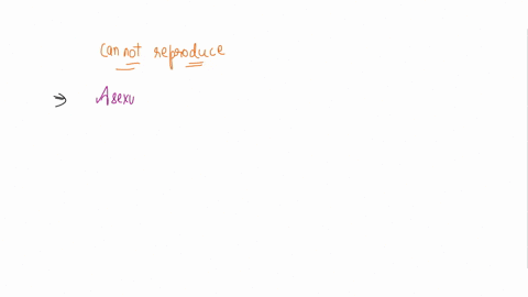 two-kinds-of-organisms-that-cannot-reproduce-with-each-other-are-separate-08384