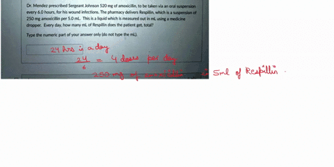 question-1-2-pts-dr-mendez-prescribed-sergeant-johnson-520-mg-of-amoxicillin-to-be-taken-via-an-oral-suspension-every-60-hours-for-his-wound-infections-the-pharmacy-delivers-respillin-which-68666