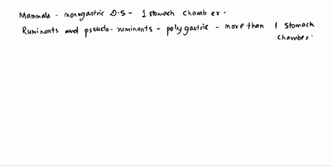 most-mammals-have-a-monogastric-digestive-system-which-means-they-have-one-stomach-chamber-ruminants-88706