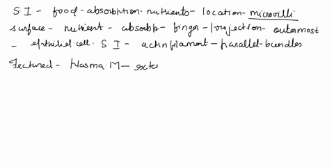 question7-please-explain-the-function-of-microvii-and-brush-border-enzymes-in-the-process-of-digeston-microvilli-brushborder-enterocytes-absorptive-cells-lacteal-goblet-cell-villus-blood-cap-68322