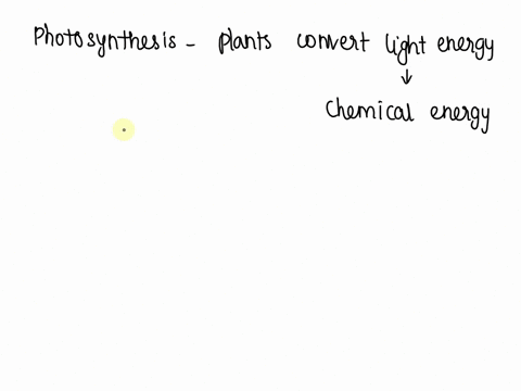 which-part-of-the-plant-cell-performs-photosynthesis-57635