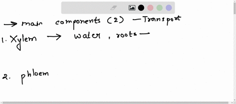 mention-the-two-main-components-of-the-transport-system-in-plants-state-on-function-of-each-of-there-components-answer-plz-01516