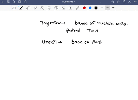 why-is-thymine-used-in-place-of-uracil-in-dna-rather-than-in-rna-please-discuss-200-words-85483