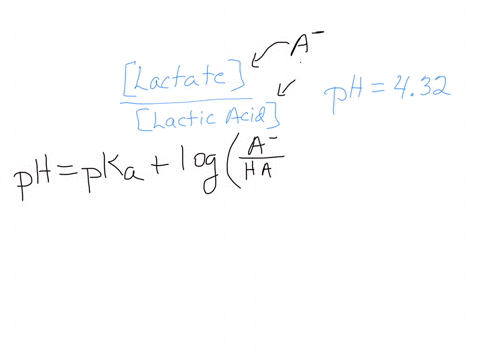 during-exercise-when-the-body-lacks-an-adequate-supply-of-oxygen-to-support-energy-production-the-pyruvate-that-is-produced-from-the-breakdown-of-glucose-is-converted-into-lactate-high-lacta-64072