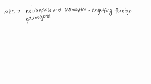 a-white-blood-cell-engulfing-a-bacterium-is-an-example-of-_____-a-white-blood-cell-engulfing-a-bacterium-is-an-example-of-_____-exocytosis-receptor-mediated-endocytosis-phagocytosis-pinocyto-49831