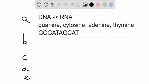 during-transcription-how-many-rna-nucleotide-bases-would-usually-be-encoded-by-a-sequence-of-99-dn-5-30772