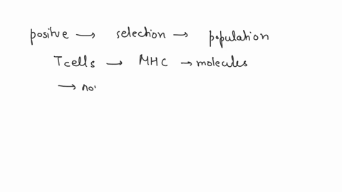 describe-how-positive-and-negative-selection-leads-to-a-population-of-t-cells-that-react-to-mhc-molecules-in-association-with-nonself-antigens-but-not-self-antigens-and-what-happens-when-tol-55103