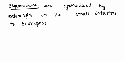 which-type-of-lipoprotein-is-synthesized-by-the-enterocyte-of-the-small-intestine-a-ldl-b-hdl-c-vldl-d-chylomicron-76714