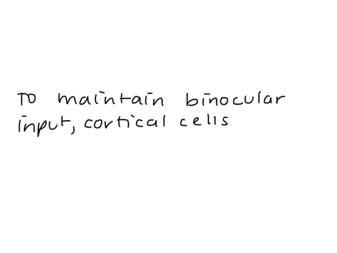 what-early-experience-is-necessary-to-maintain-binocular-input-to-the-neurons-of-the-visual-cortex-03819