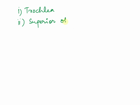 correctly-identify-the-following-extrinsic-muscles-of-the-eyeball-superior-oblique-lateral-rectus-muscle-superior-rectus-muscle-inferior-oblique-trochlea-inferior-rectus-muscle-medial-rectus-76362