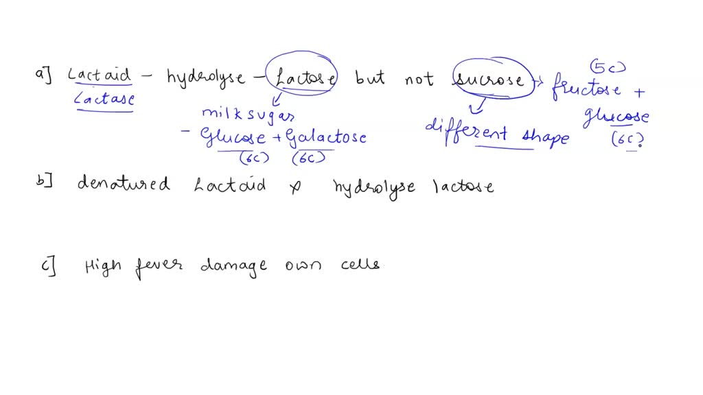 SOLVED Explain why LACTAID (lactase enzyme) catalyzes the hydrolysis of LACTOSE (milk sugar